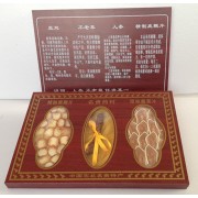 关东三宝 鹿茸 鹿鞭片