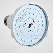 LED节能王节能长寿灯摔不坏的灯1W