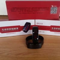 生命软胶磁能表