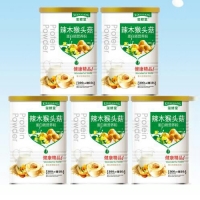 辣木猴头菇蛋白质营养粉