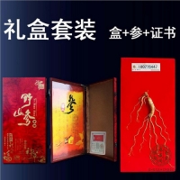长白山人参