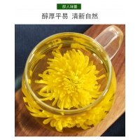 金丝黄菊—瓶装(包邮)