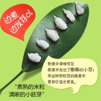 内蒙古特产燕麦胚芽米