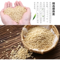 内蒙古特产燕麦胚芽米